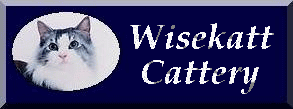 wisekatt